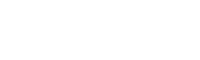 N8N Partner Logo